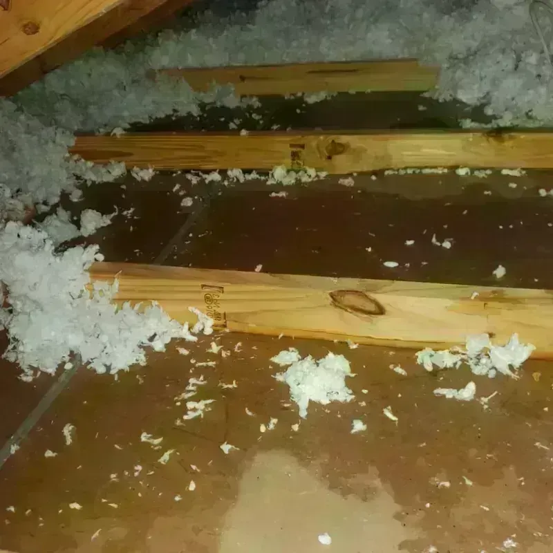 Attic Water Damage in Victor, NY