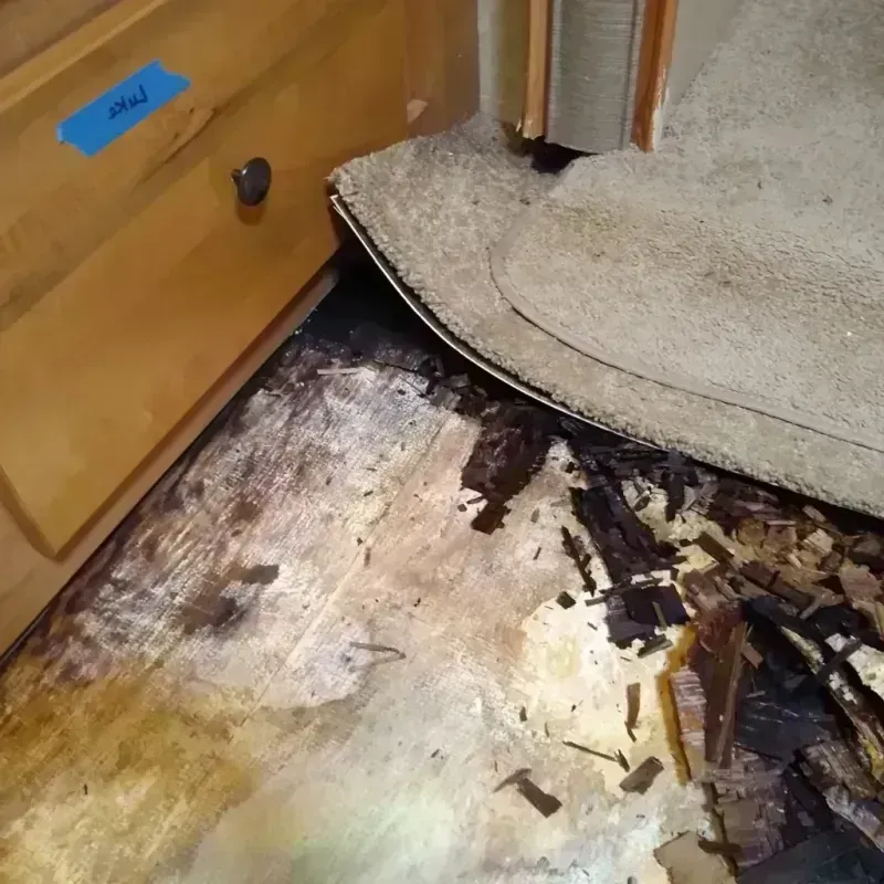 Wood Floor Water Damage in Victor, NY